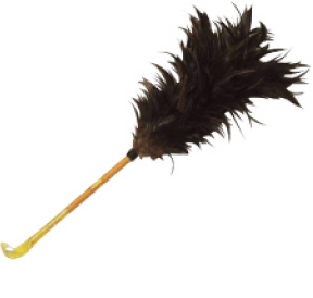 feather duster