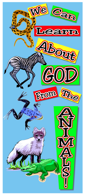 Animals Banner