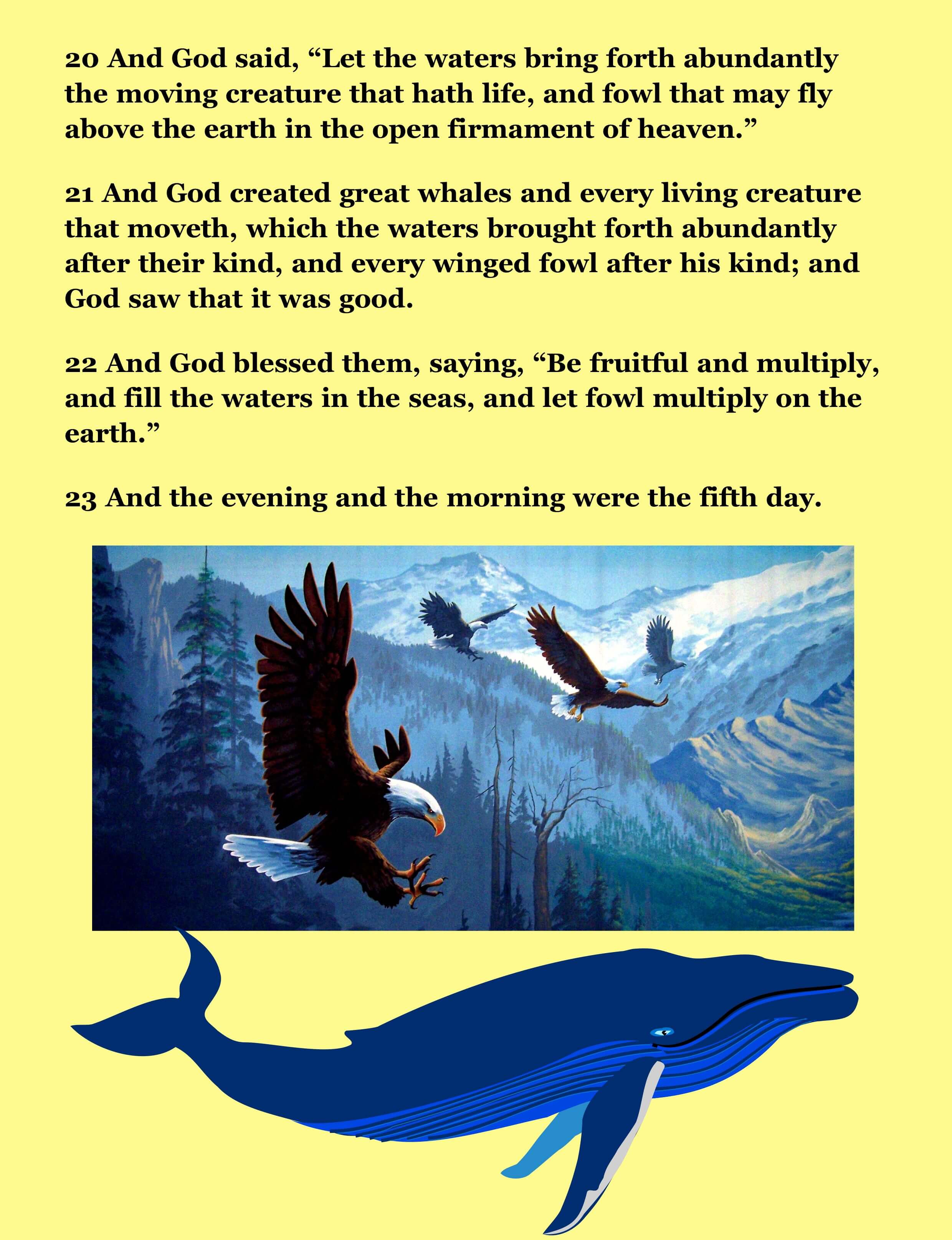 bible-story-picture-for-creation-pic-7-the-scripture-lady