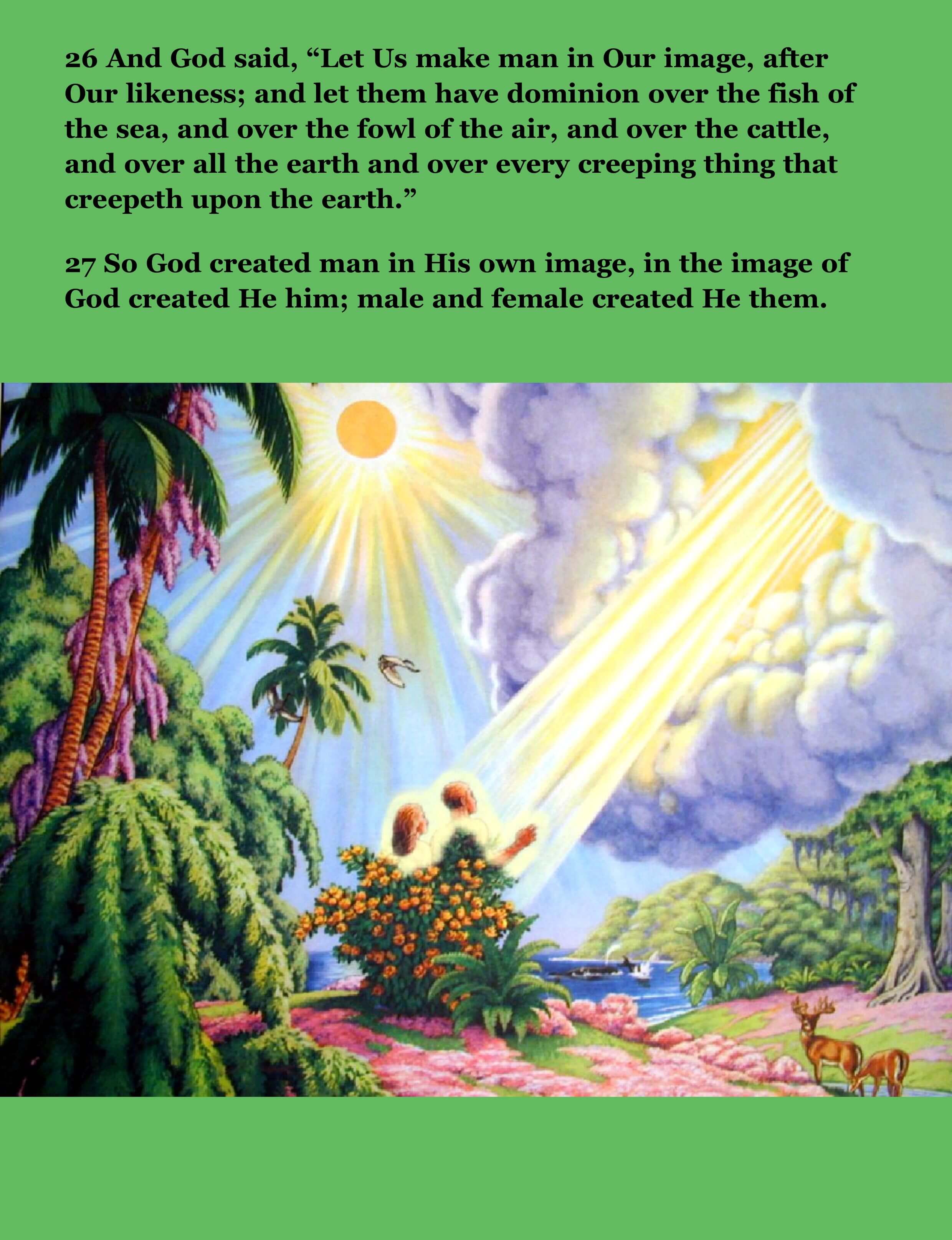 Creation Story Definition In The Bible