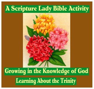 Growing in the Knowledge of God – A Bible Activity About the Trinity