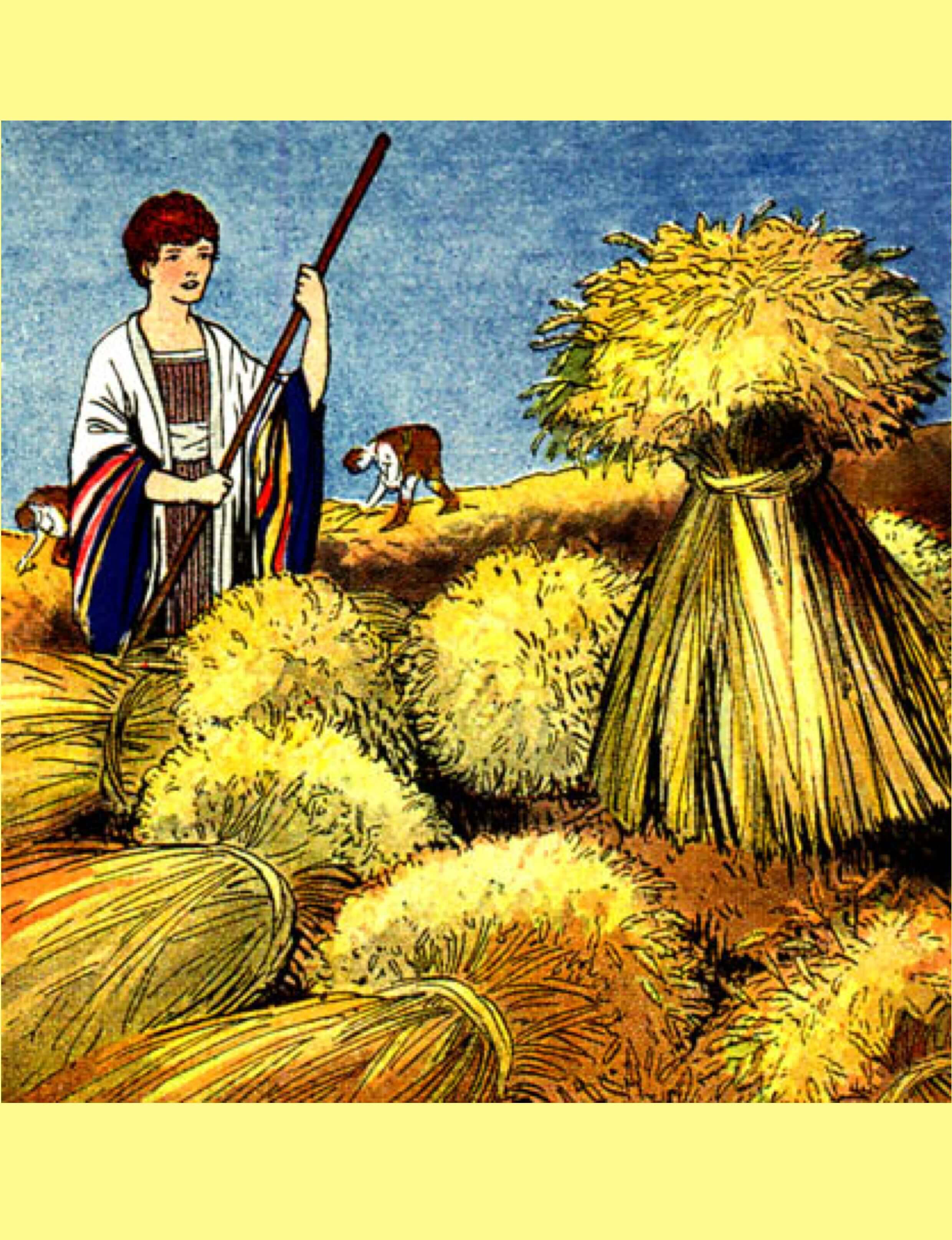 Joseph Pic Dream Of Sheaves The Scripture Lady