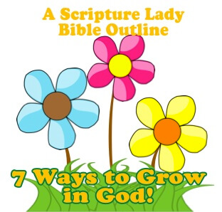 Teach 7 Ways God Wants Your Kids to Grow: A Bible Outline Printable